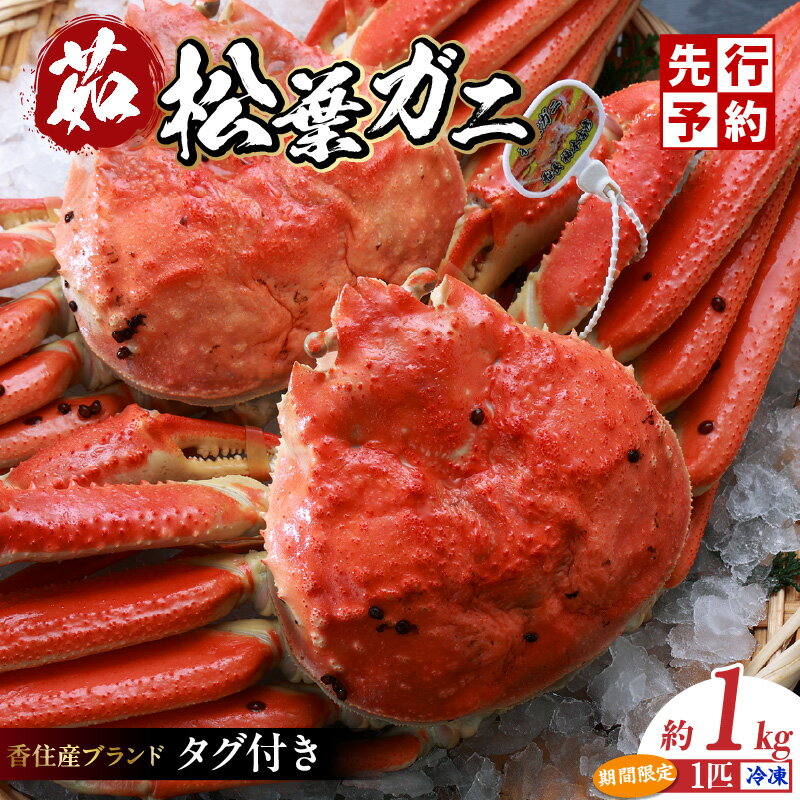 【ふるさと納税】先行予約 数量限定 兵庫県 香住産 タグ付き 釜茹で 松葉がに 約1.0kg 送料無料 身入りバッチリ 松葉ガニ ズワイガニ 蟹味噌 松葉蟹 ずわい蟹 蟹 姿 ボイル カニ かに 姿 鍋 ずわいがに 歳暮 ギフト お歳暮 贈答 高級食材 兵庫県 香住 柴山ガニ 冷凍 07-07