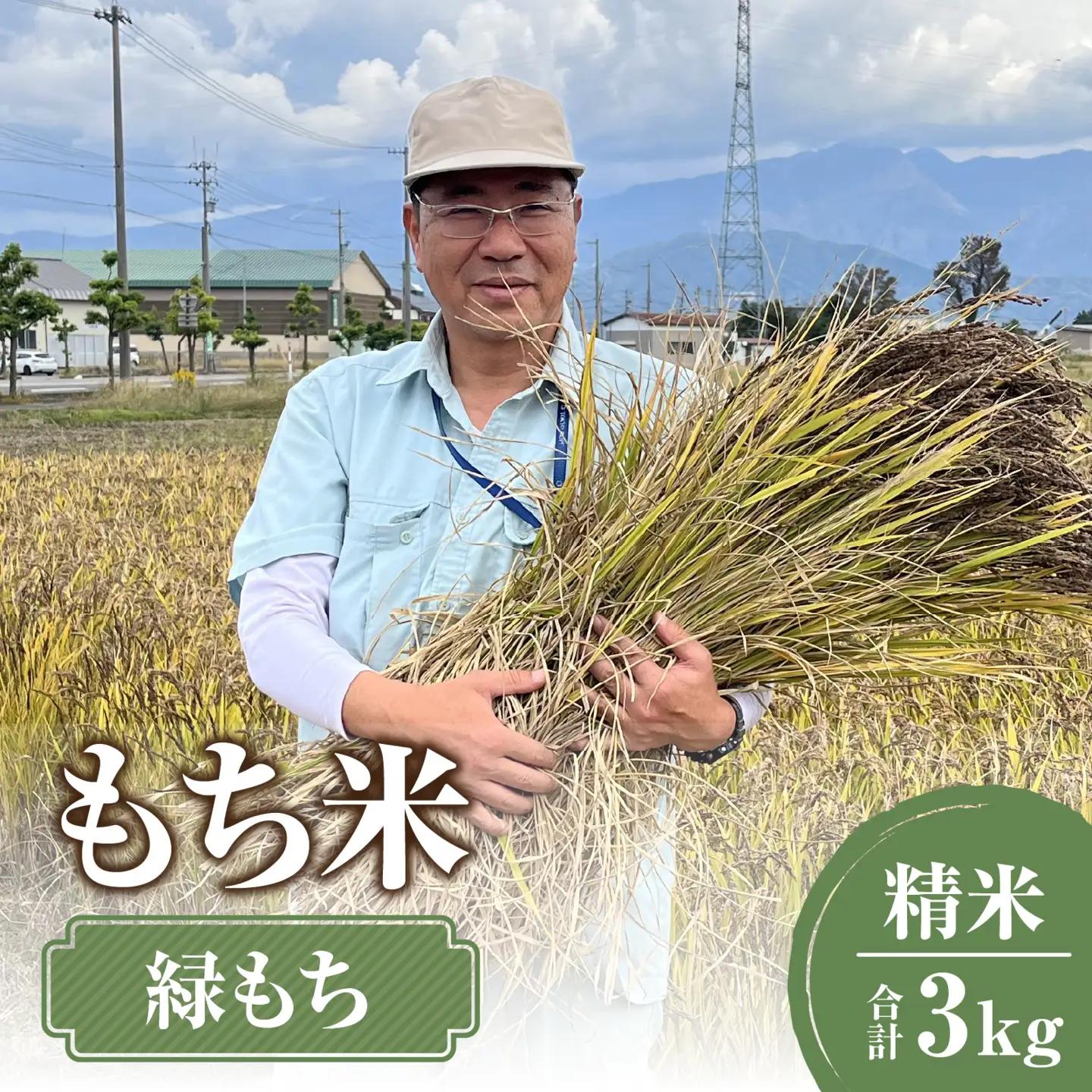 【先行予約】【令和8年産 新米】もち米（緑もち）精米3kg【10月下旬から順次発送 】 | 白米 古代米 餅 おこわ もち米