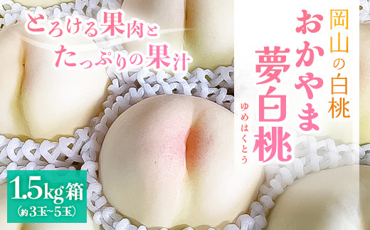 
            ＜2025年先行予約＞2025年8月上旬頃より発送予定・岡山の白桃・おかやま夢白桃(1.5kg箱)_ 桃 ふるさと納税 白桃 もも モモ 甘い 果物 フルーツ くだもの 産直 産地直送 岡山県 津山市 贈答 ギフト プレゼント 送料無料 【1580278】
          