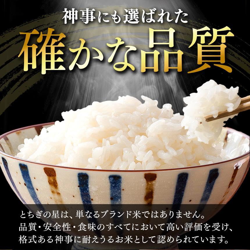 【定期便3回】栃木県産 お米 とちぎの星 ５kg |  栃木県 矢板市 【栃木県共通返礼品】