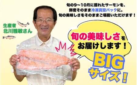 勝山 やまのサーモン 半身 冷凍  ※800ｇ以上×2枚 [C-050002]