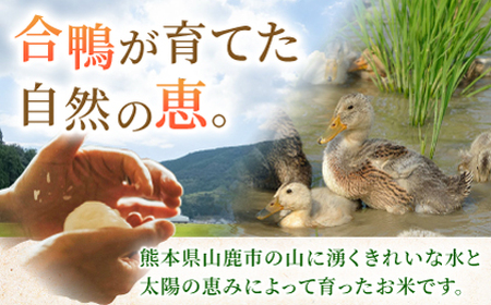 合鴨米 5kg 【あいがもん倶楽部】[ZAR026]