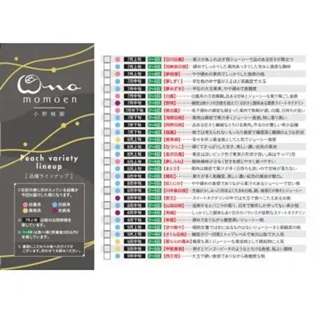 【まず出逢えない気品高い山加白桃】人気品種指定ギフト5年連続TV出演話題ブランド2026年7月下旬～【配送不可地域：離島・北海道・沖縄県・中国・四国・九州】【1465316】