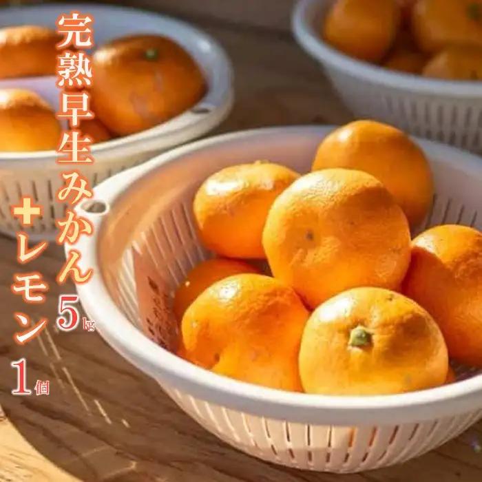 【先行予約】完熟早生みかん５ｋｇと璃の香（レモン）１個【2026年12月下旬以降発送】