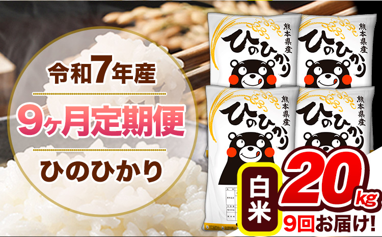 【9ヶ月定期便】令和7年産 白米 定期便 ひのひかり 20kg 《お申込み翌月から出荷》熊本県産 ふるさと納税 白米 精米 ひの 米 こめ ふるさとのうぜい ヒノヒカリ コメ 熊本米 ひのもり