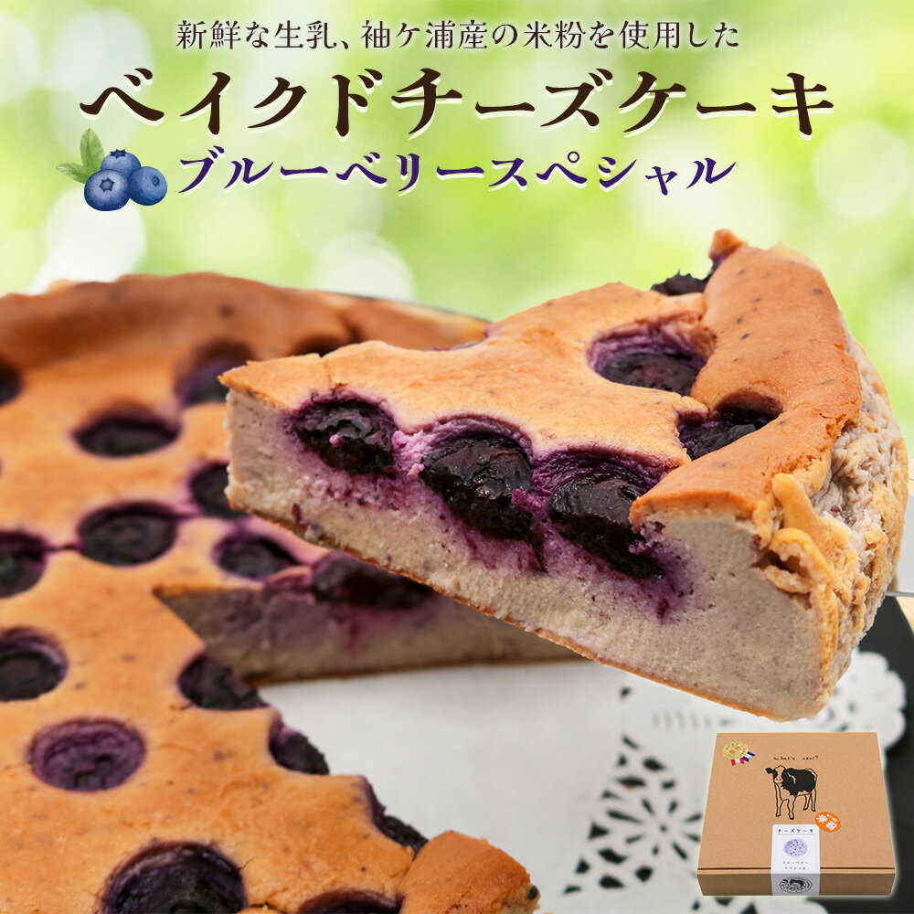 【ふるさと納税】贅沢トッピングのベイクドチーズケーキ 奥野牧場 ブルーベリースペシャル ホール (大)｜米粉 グルテンフリー チーズ ケーキ スイーツ フルーツ ミルク 牧場 ギフト お祝い 袖ケ浦 [0230]