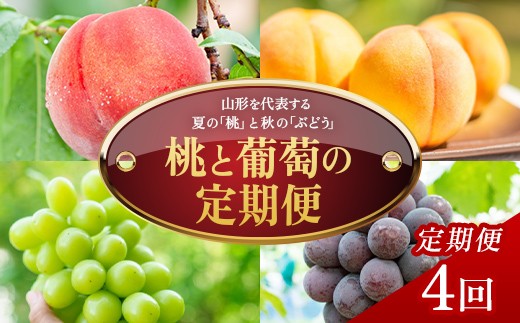 
                  【定期便4回】桃と葡萄の定期便 FSY-2769
                