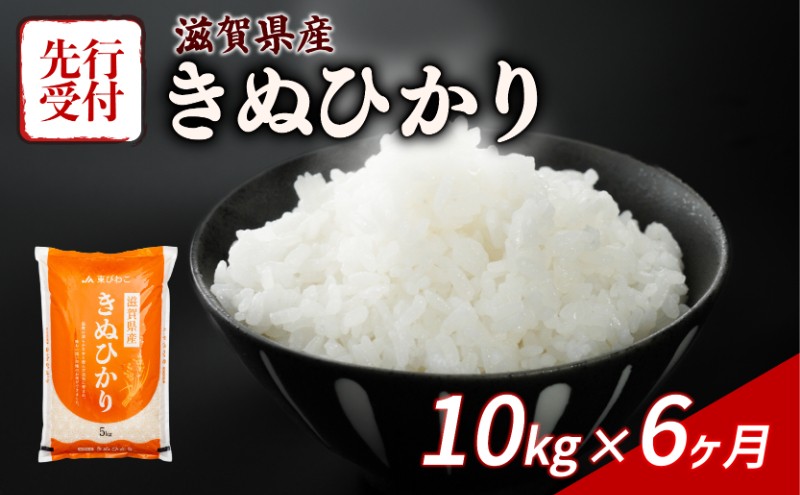 
                  【令和8年産】 先行予約 新米 きぬひかり 10kg ( 5kg ×2) 6回定期便 令和8年産 定期便 米 精米 こめ コメ お米 ご飯 米 キヌヒカリ 米定期便 6か月定期便 6ヶ月定期便 6回 6ヶ月 6か月 滋賀 彦根
                