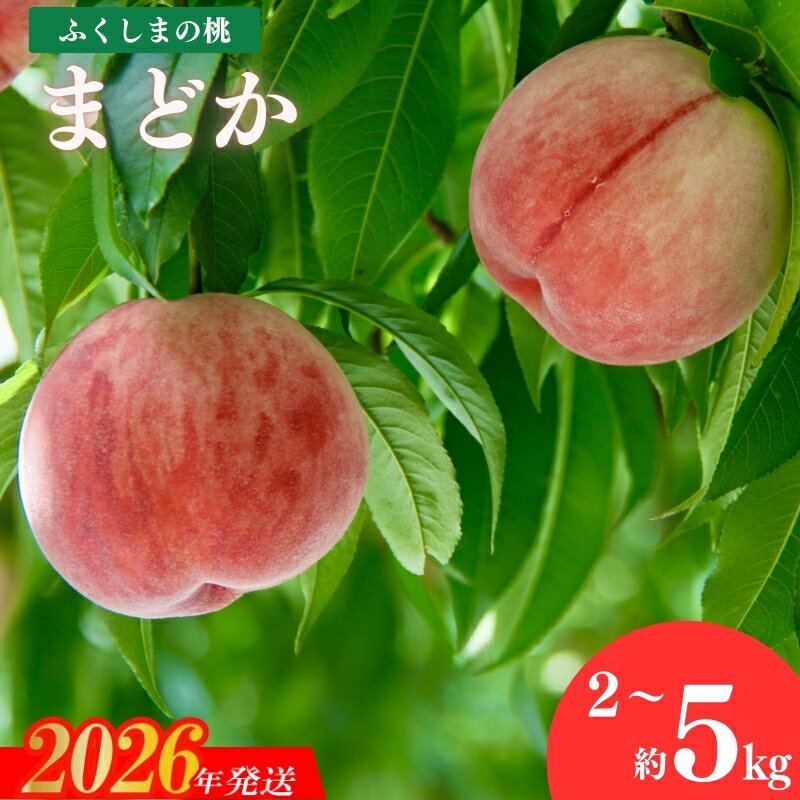 【ふるさと納税】果樹園きつない 福島のもも「まどか」約2kg 約3kg 約5kg【2026年発送 先行予約】