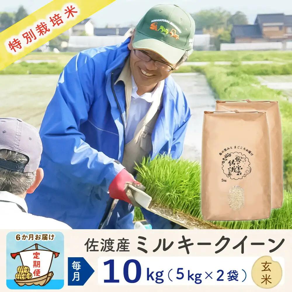 【定期便 新米 10kg 6回】 玄米 令和8年 計 60キロ | 新潟県 佐渡市 ミルキークイーン 195962-4344