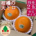 【ふるさと納税】お試し規格 柑橘の大トロ ハウス せとか 厳選 中玉 2玉入 手さげ箱 南泰園 和歌山 有田 | フルーツ 果物 くだもの 食品 人気 おすすめ 送料無料