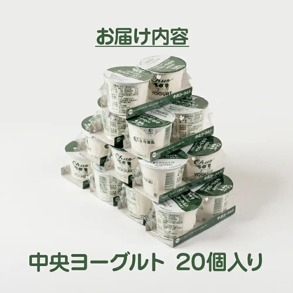 ヨーグルト 2p 6個セットヨーグルト 中央製乳