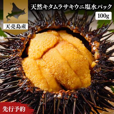 ふるさと納税 羽幌町 【北海道 天売島産】先行予約 天然キタムラサキウニ塩水パック100g×1パック【31001】
