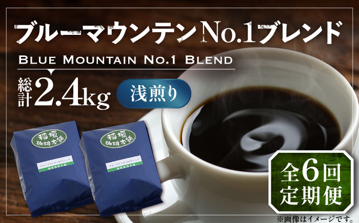 
            【全6回定期便】ブルーマウンテン NO.1 ブレンド コーヒー ( 浅煎り )《豊前市》【稲垣珈琲】 珈琲 コーヒー 豆 粉 [VAS168]
          