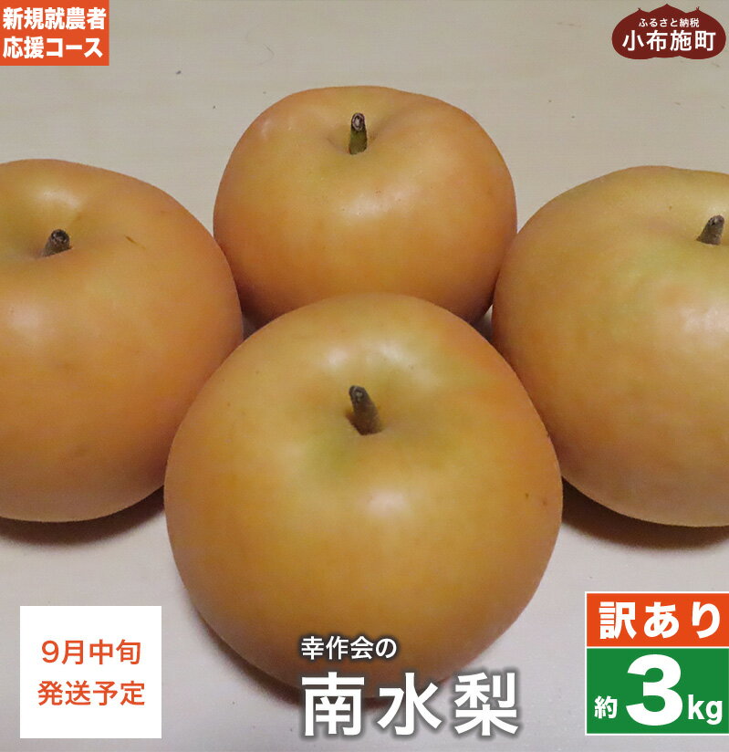 【ふるさと納税】【訳あり】梨 南水 約3kg ［新規就農者応援コース 幸作会］ 梨 なし フルーツ 果物 ワケアリ 傷 キズ 不揃い 長野県産 信州産 数量限定 令和7年産 【2025年9月中旬発送】