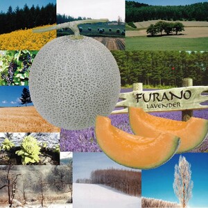 【先行受付】 ふらのメロン 赤肉 特大玉2玉［1玉2.25kg以上］計4.5kg以上 富良野 赤肉 めろん 北海道 甘い 大きい 果物 フルーツ