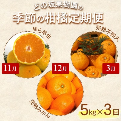【発送月固定定期便】どの坂果樹園自慢の柑橘定期便(ゆら早生・完熟みかん・不知火)　各約5kg全3回【配送不可地域：離島・北海道・沖縄】【4052457】