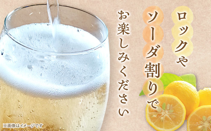 女城主 柚子酒 500ml / 日本酒 お酒 地酒 清酒 果実酒 / 恵那市 / 岩村醸造 [AUAK010]