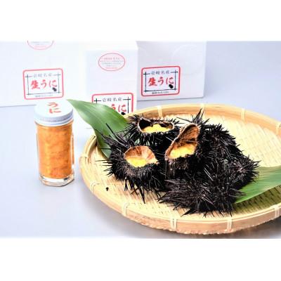 ふるさと納税 壱岐市 壱岐産生うに |  | 01