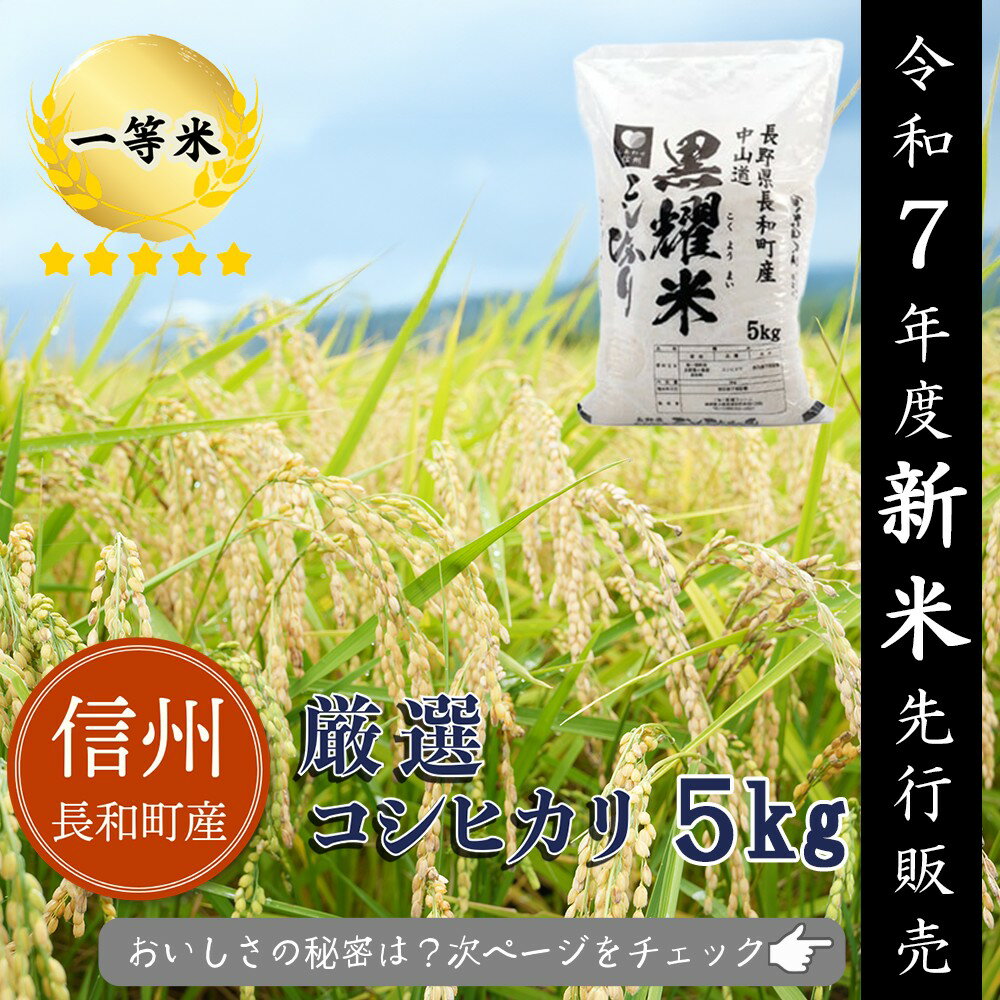 【ふるさと納税】【令和7年度新米】2025年9月10月収穫　コシヒカリ5kg　2025年11月下旬・12月下旬分先行予約　信州長和町産　長野県産　一等米　お届け：2025年11月中旬～2026年1月下旬
