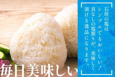 石垣の塩 500g×2 計1kg ｜ 沖縄 石垣 塩 調味料 海塩 SI-94