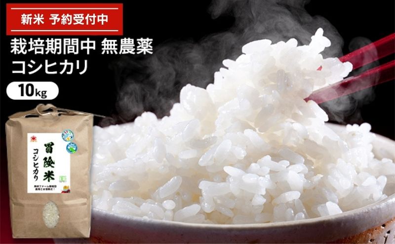 令和6年産 栽培期間中無農薬コシヒカリ 10kg　玄米