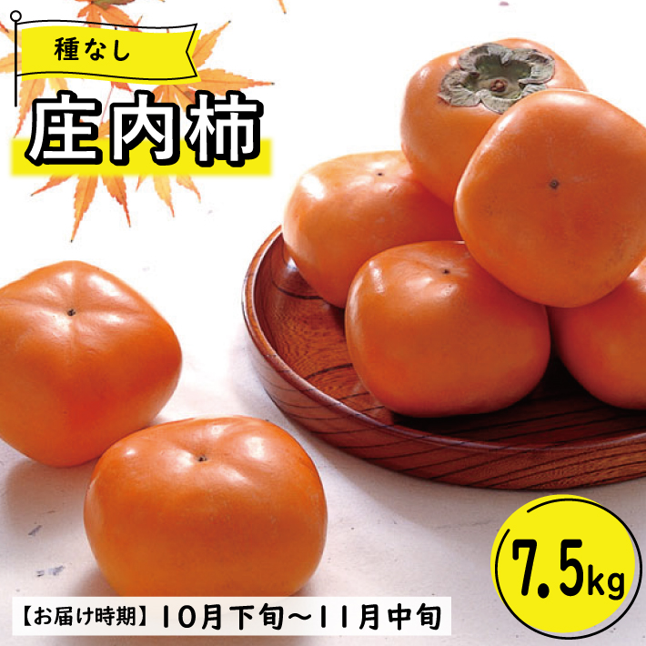 SE0316　【3回定期便】酒田の季節のフルーツ頒布会 Ｃコース2025 (大玉メロン、刈屋梨、庄内柿)