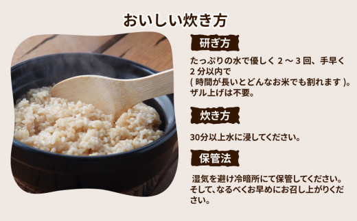 令和4年産 茨城県産ミルキークイーン 玄米（5kg×1袋）｜原料米調整地:茨城県土浦市 便利な少量5kgでのお届け。このお米は石抜き機、色彩選別機の処理済みです。 ※離島への配送不可