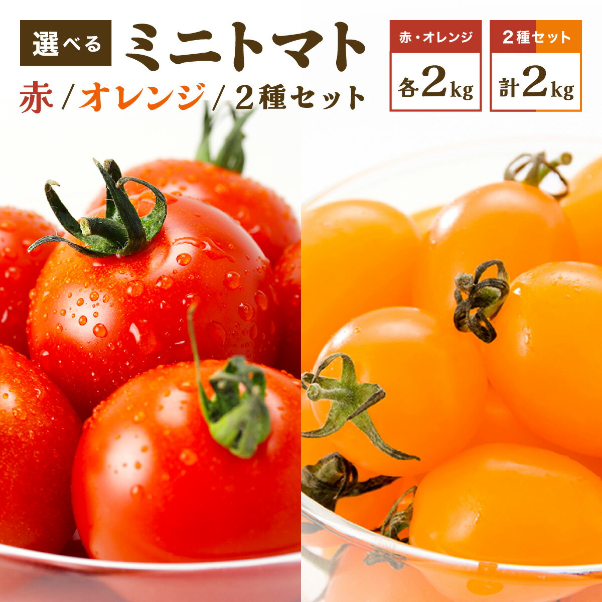 【ふるさと納税】＜先行予約・選べる種類＞ミニトマト（赤・オレンジ・赤＆オレンジ）【a127-003】【a127-004】【a127-005】