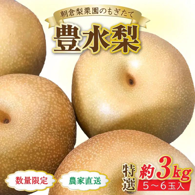 【先行予約】《数量限定》豊水梨 特選 5～6玉入 約3kg もぎたて 新鮮 ／ 期間限定 果物 フルーツ 農家直送 お取り寄せ 豊水 梨 なし 福井県 あわら市 ※2026年9月上旬より順次発送予定 [aw042-a004]