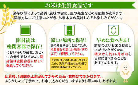 《令和7年産》宮崎県産コシヒカリ 合計5kg(5kg×1袋) お米 精米 新米