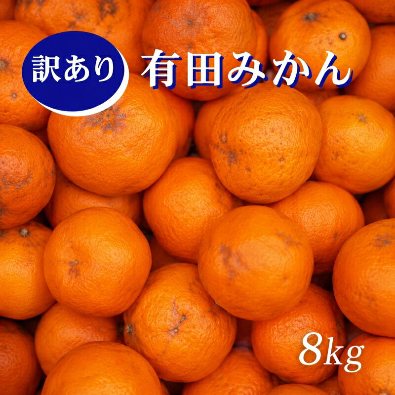 【ふるさと納税】 紀州 有田 みかん 訳あり 家庭用 8kg(2L 3L いずれかお届け) / 温州みかん 甘い 家庭用 キズ 柑橘 果物 和歌山 ※2026年12月上旬～2027年1月中旬頃順次発送予定 ※沖縄・離島配送不可 //mandarin