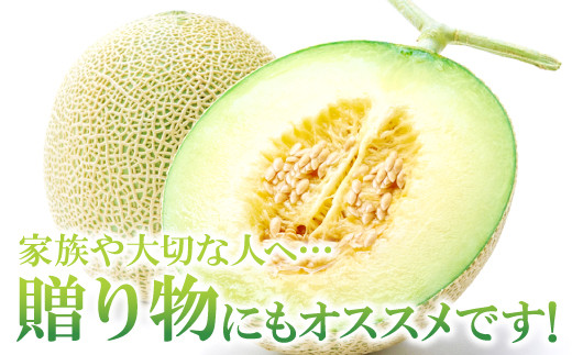 先行予約・数量限定！夏作アールスメロン 3L～5Lサイズ 2玉(*´▽｀*)