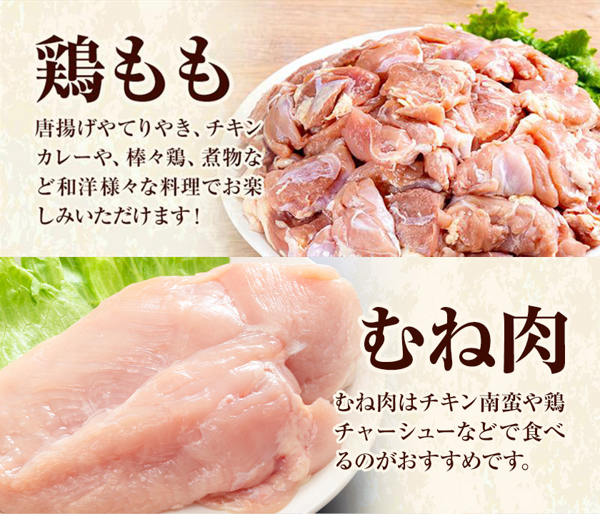 【6ヶ月定期便】 九州産若鶏もも肉（310g×8袋）・むね肉（600g×7袋）セット  鶏肉 お肉 モモ肉 もも肉 ムネ肉 むね肉 2種類 小分け 冷凍 九州産 国産 熊本県 菊池市 送料無料《お申し
