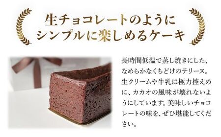 洋菓子マウンテン テリーヌ (1個) ふるさと納税 福知山市 スイーツ 洋菓子 チョコレート ショコラ ショコラティエ テリーヌ 長時間低温 蒸し焼き カカオの風味 なめらか ギフト プレゼント 【f