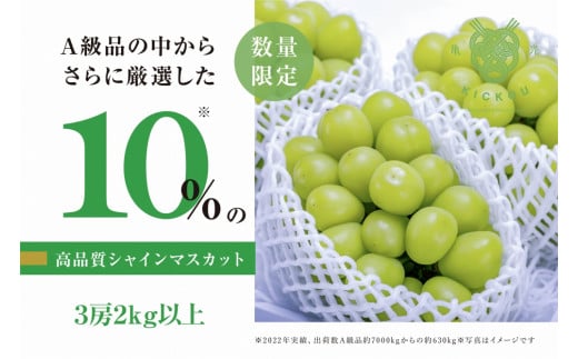 【数量限定】粒が詰まった高級シャインマスカット「亀光」3房2kg以上【2025年発送】（RO）D-133 【亀光 シャインマスカット 葡萄 ぶどう ブドウ 令和7年発送 期間限定 山梨県産 甲州市 フルーツ 果物】