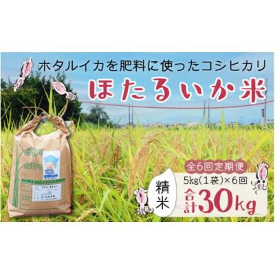 ふるさと納税 滑川市 【毎月定期便】ほたるいか米　精米　5kg全6回