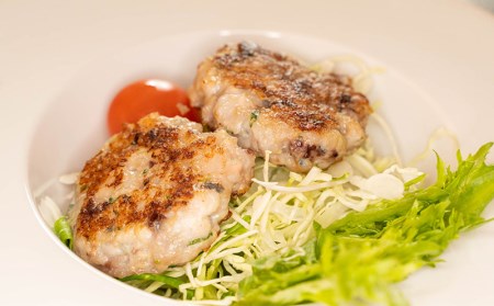 【価格改定予定】あじ なめろう 50g 10パック セット 食べきり 鯵 魚 国産