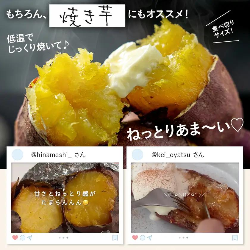 島津甘藷　熟成紅はるか 10kg(S～2S)〔12-A7-001-10kg-m〕_(都城市) 島津甘藷 紅はるか 10kg サイズ未選別 Ｓ～２Ｓ おやつ お菓子作り 料理