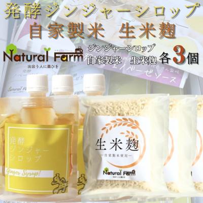 ふるさと納税 枕崎市 発酵ジンジャーシロップ&amp;生米麹　各3パックセット B4-5