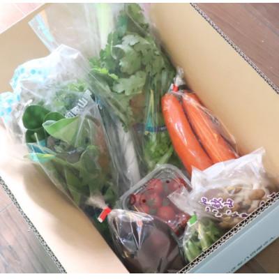 ふるさと納税 印南町 【発送月固定定期便】旬の新鮮野菜セット8種以上【野菜詰め合わせ】全5回 |  | 02