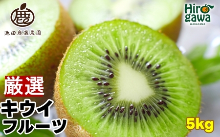 キウイ 厳選 5kg+250g（痛み補償分） / キウイフルーツ 高級 和歌山 大容量 ※2025年11月中旬～2026年6月中旬に順次発送 ※北海道・沖縄・離島への配送不可【ikd505-p-5B】