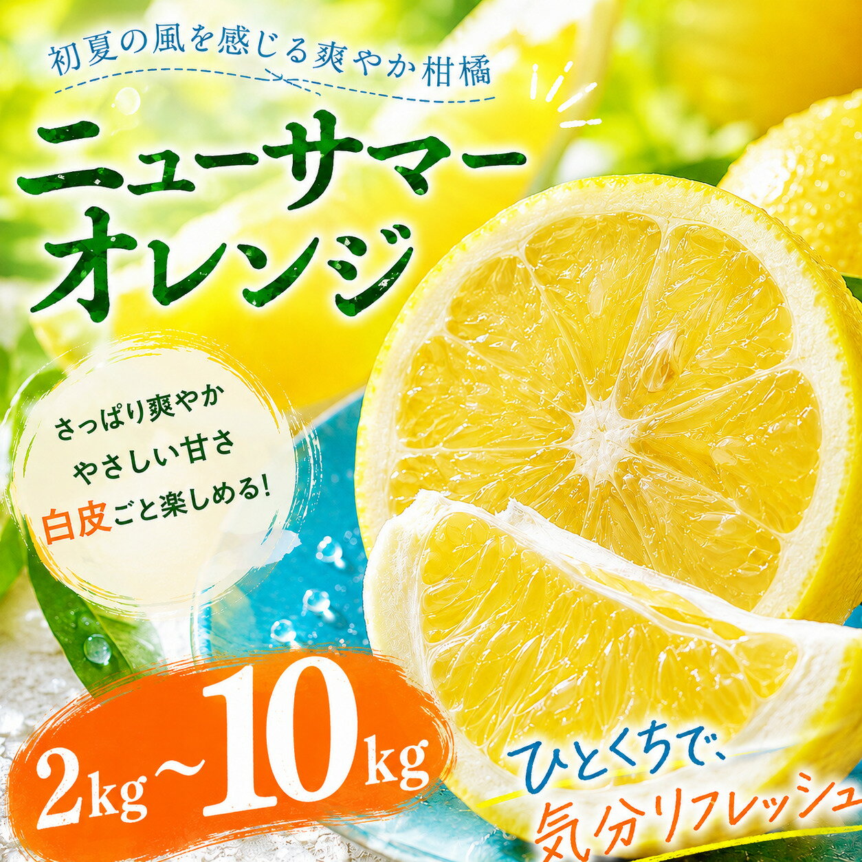 【ふるさと納税】 【選ぶならこれ】 初夏の爽快感 【ニューサマーオレンジ】 2kg/3kg/5kg/10kg 愛媛県産 【2027年4月中旬頃から順次発送】 | みかん ミカン mikan 蜜柑 訳ありフルーツ 柑橘 果物 おすすめ お勧め お取り寄せ ギフト 愛媛県 松山市