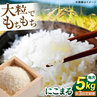 ふるさと納税 糸島市 【全3回定期便】 にこまる 玄米品質1等米 白米 5kg 糸島市産 [AGR008]