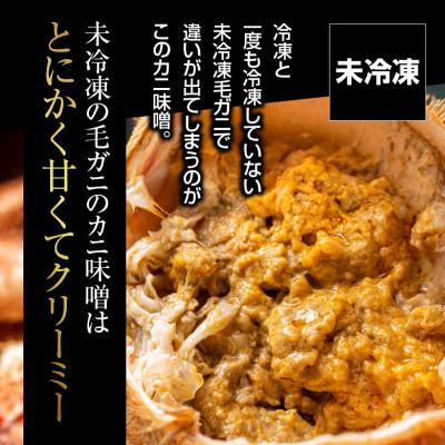 ふるさと納税 稚内市 【未冷凍、冷蔵発送! 2026年新物】極・稚内産毛ガニ800g前後 浜茹でチルド |  | 02