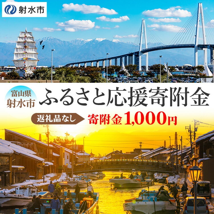 【ふるさと納税】富山県射水市　応援寄附（返礼品なし） 1,000円　 射水市 　お届け：お礼の品のご送付はございません。