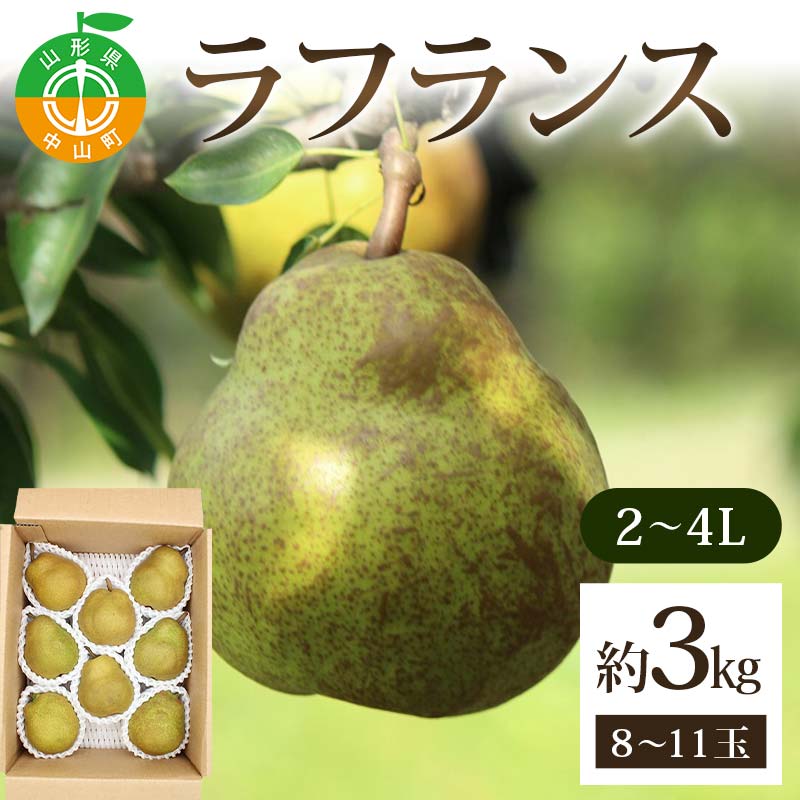 【ふるさと納税】《2026年発送先行予約》ラフランス約3kg 2～4L 8～11玉 らふらんす 果物 くだもの フルーツ 山形県産 F4A-0937