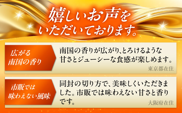 【全2回】太陽の恵み マンゴーご褒美便 (総計2kg) マンゴー 2026 沖縄 果物 フルーツ ギフト 沖縄市 / 仲村農園 [BCZZ051]