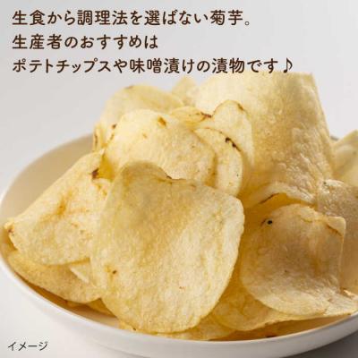 ふるさと納税 糸島市 糸島産菊芋5kg自然栽培 糸島市/大石ファーム[ATE008] |  | 01