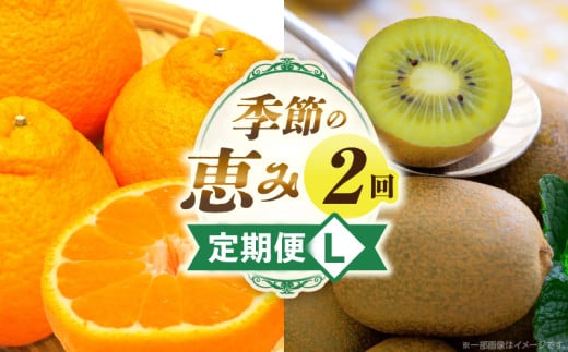 季節の恵み2回定期便L_mk165-t012